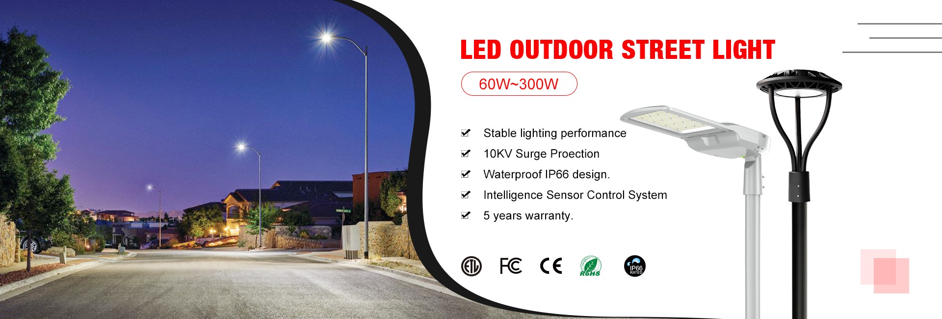 LED Flood Light