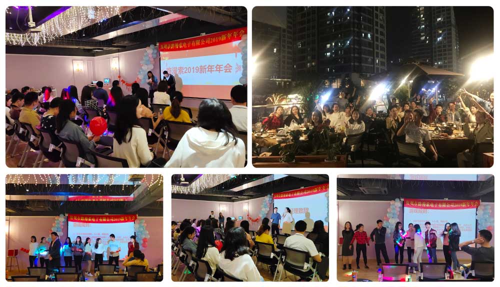 Shenzhen Romanso Electronic Co., Ltd. 2018 New Year Party