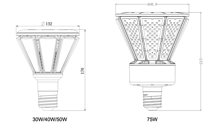 LED Post Top Retrofit Bulb-B