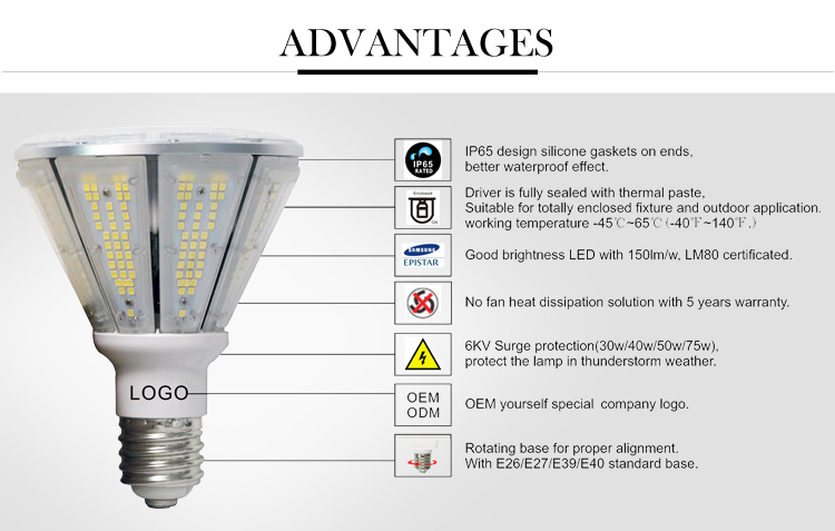 LED Post Top Retrofit Bulb-B