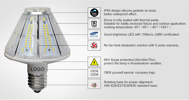 LED Post Top Retrofit Bulb-A