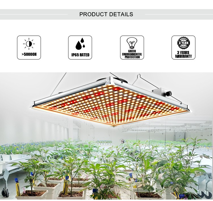 Board LED Grow Light