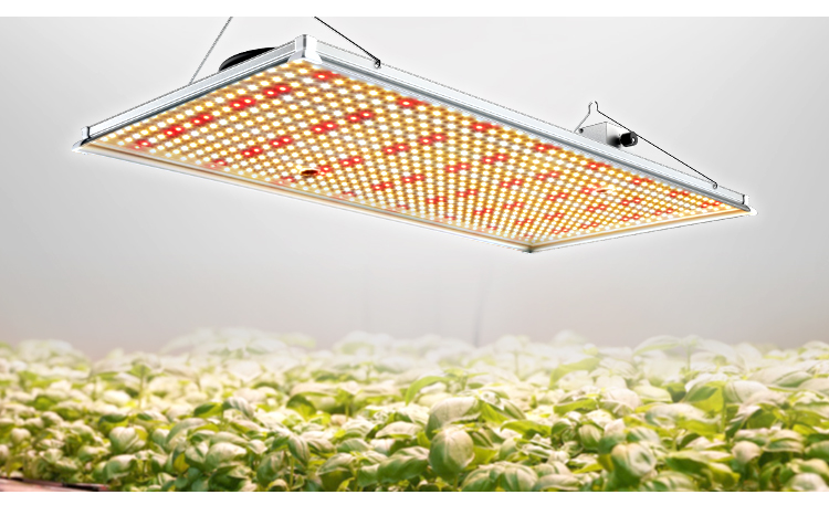 Board LED Grow Light