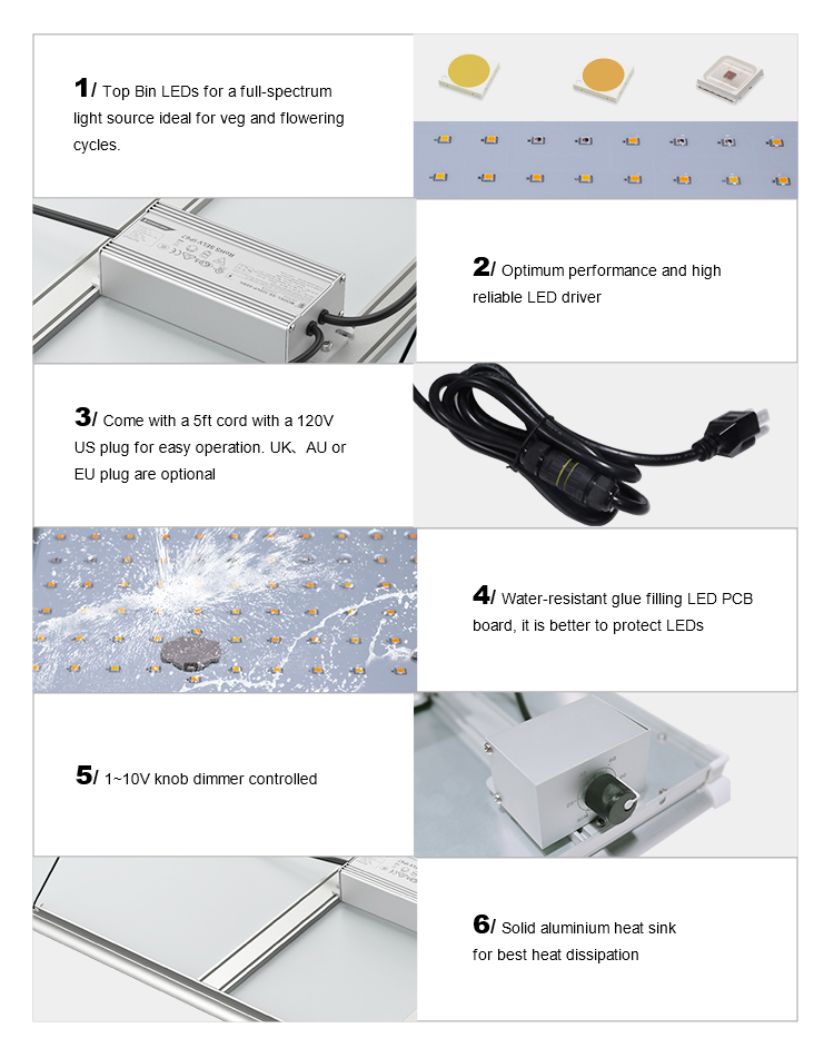 Board LED Grow Light