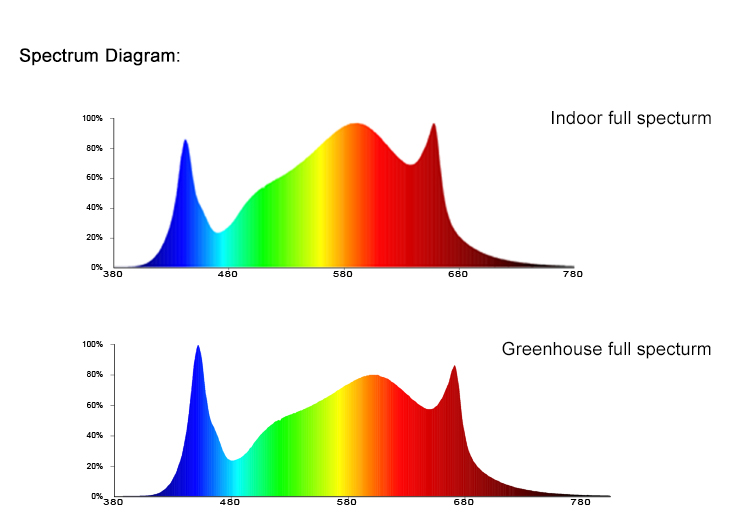 Board LED Grow Light