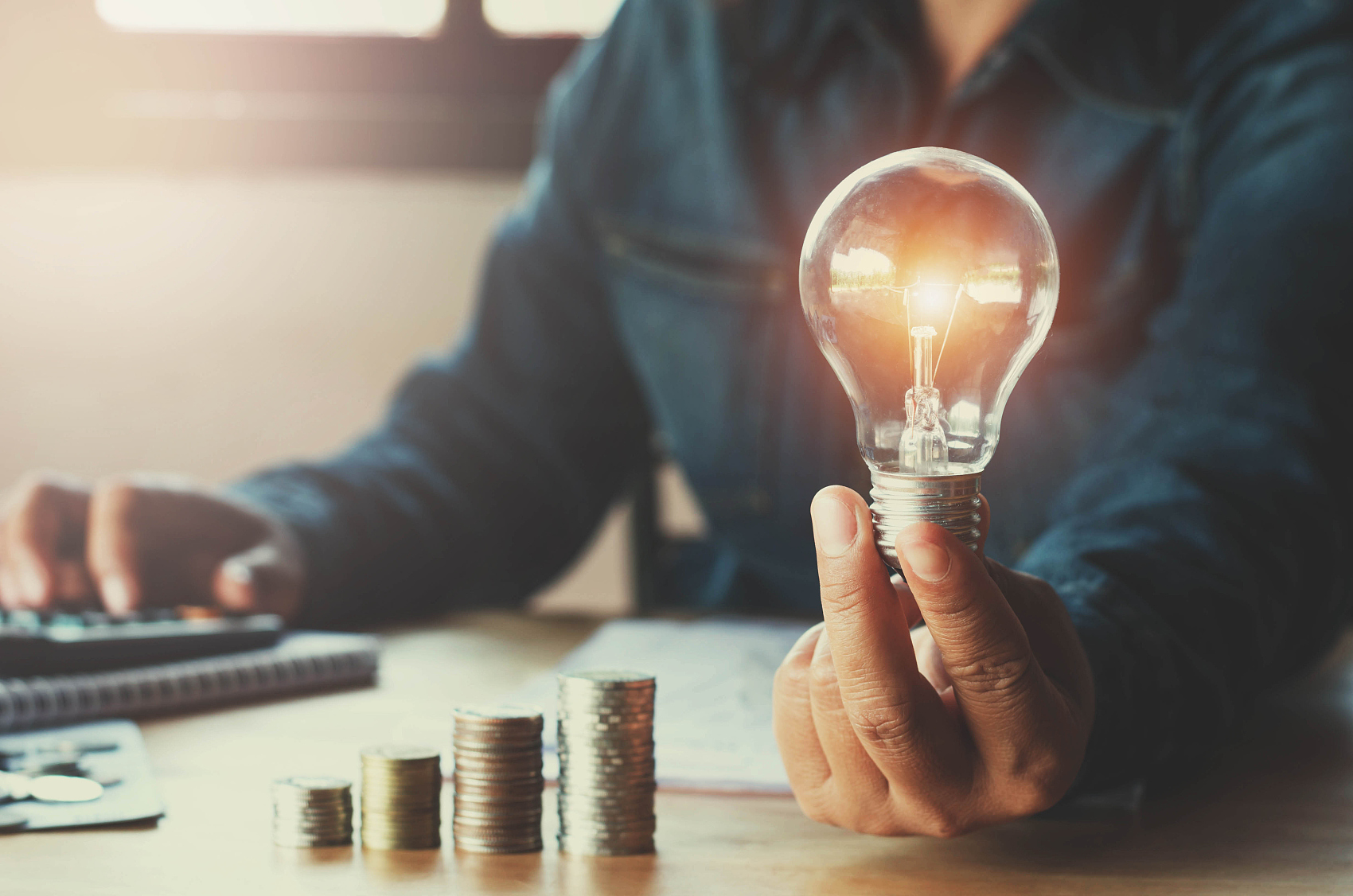 Intelligent Industrial Lighting Market Share, Size, Trends, Industry Analysis Report, By Application (Factory,Warehouses,Others).