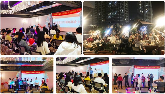 Shenzhen Romanso Electronic Co., Ltd. 2018 New Year Party