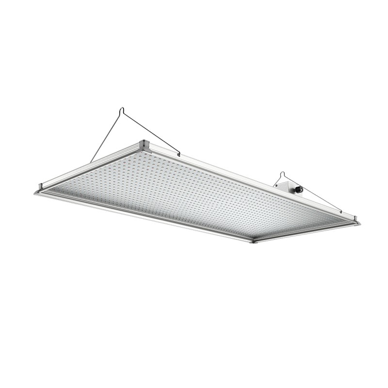 Board LED Grow Light