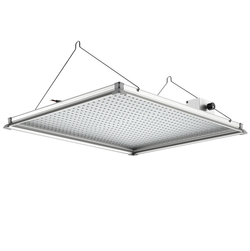 Board LED Grow Light