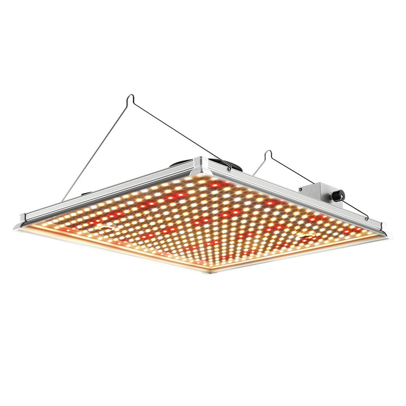 Board LED Grow Light