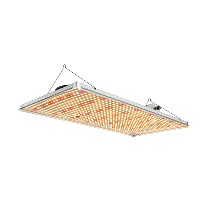 240W 320W Board LED Grow Light