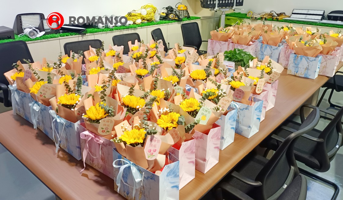 Shenzhen Romanso Electronic Co., Ltd. Celebrates International Women's Day and Honors the Strength of Women